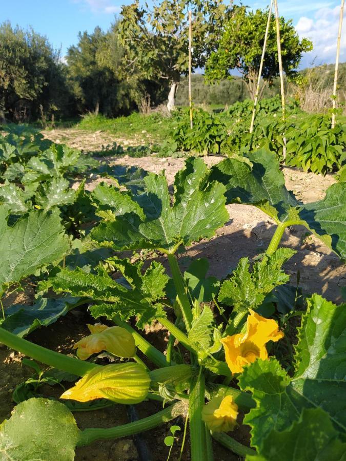 Myparadise-Farm Villa In The Centre Of South Crete Καλαμάκι Εξωτερικό φωτογραφία