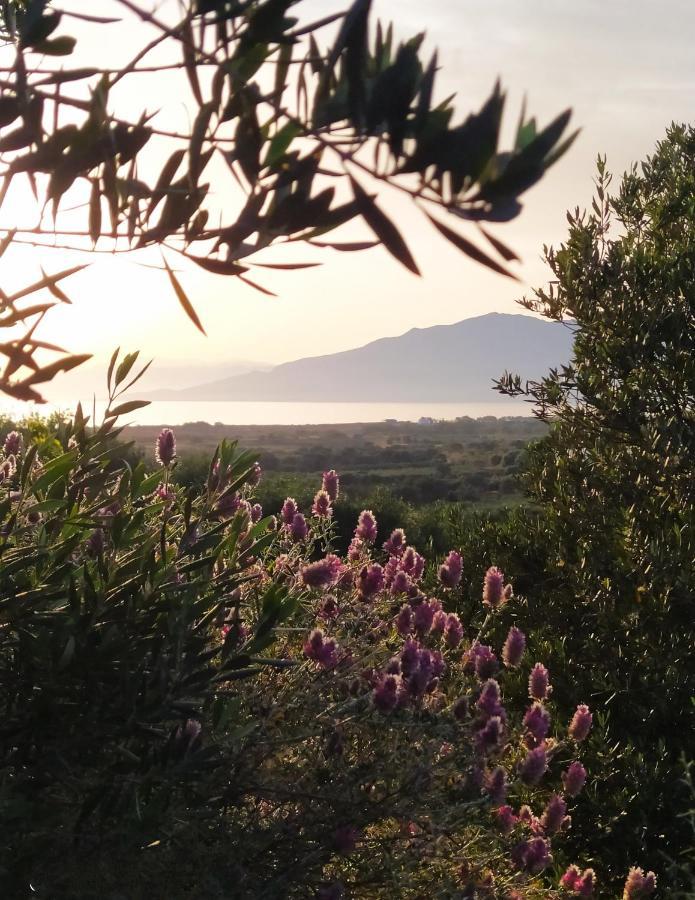 Myparadise-Farm Villa In The Centre Of South Crete Καλαμάκι Εξωτερικό φωτογραφία