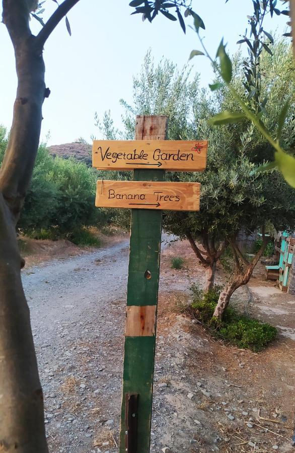 Myparadise-Farm Villa In The Centre Of South Crete Καλαμάκι Εξωτερικό φωτογραφία